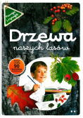 Poznaję i rysuję Drzewa naszych lasów