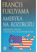 Ameryka na rozdrożu