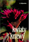 Kwiaty i krzewy do twojego ogrodu