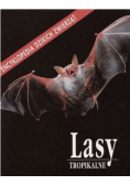 Lasy Tropikalne