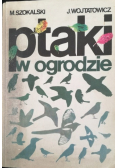 Ptak w ogrodzie