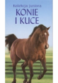 Konie i kuce