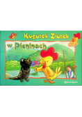 Kogutek Ziutek w Pieninach