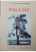 Polesie Cuda Polski