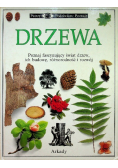 Drzewa