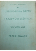 Uszkodzenia drzew i krzewów leśnych wywołane przez owady