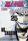 Bleach Tom 25