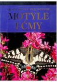 Motyle i ćmy