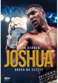 Joshua Droga na szczyt