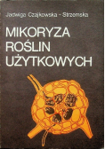Mikoryza roślin użytkowych