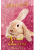 Animal Magic Bernard szuka domu