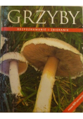 Grzyby Rozpoznawanie i zbieranie