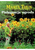 Pielęgnacja ogrodu
