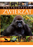 Encyklopedia zwierząt