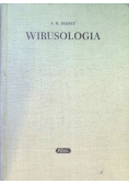 Wirusologia