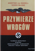 Przymierze wrogów