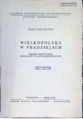 Wielkopolska w pradziejach