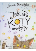 Jak się koty urodziły
