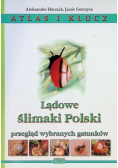 Lądowe ślimaki Polski. Przegląd wybranych gatunków