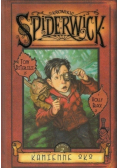 Kroniki Spiderwick Księga 2 Kamienne oko