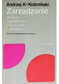Zarządzanie analiza systemowa procesów i struktur