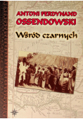Wśród czarnych