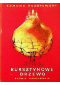 Bursztynowe drzewo