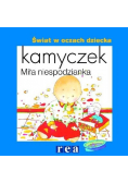 Kamyczek. Miła niespodzianka