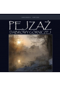 Pejzaż Dąbrowy Górniczej