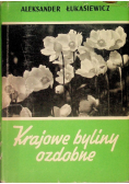 Krajowe byliny ozdobne