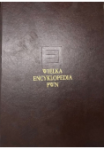 Wielka encyklopedia PWN Tom 22