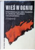 Wieś w ogniu eksterminacja wsi polskiej w okresie okupacji hitlerowskiej