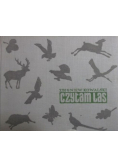 Czytam las