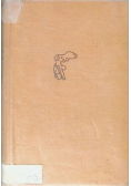 Pod drzwiami