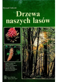 Drzewa naszych lasów