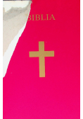 Biblia Pismo Święte Starego i Nowego Testamentu Tom 1