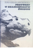 Przygody w skamieniałym świecie
