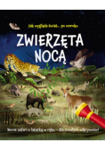 Jak wygląda świat... po zmroku Zwierzęta nocą