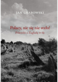 Polacy, nic się nie stało Polemiki z Zagładą w tle