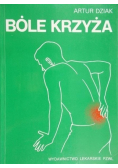 Bóle krzyża