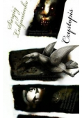 Czystopis