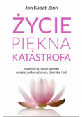 Życie piękna katastrofa