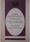 Historia i teoria literatury Studia Orzeszkowa Młodość pozytywizmu