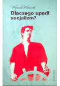Dlaczego upadł socjalizm