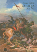 Galicja 1914 - 1915