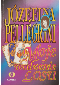 Moje widzenie losu