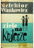 Ziele na kraterze