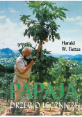 Papaja drzewo lecznicze
