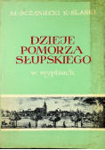 Dzieje pomorza słupskiego w wypisach