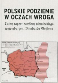 Polskie podziemie w oczach wroga